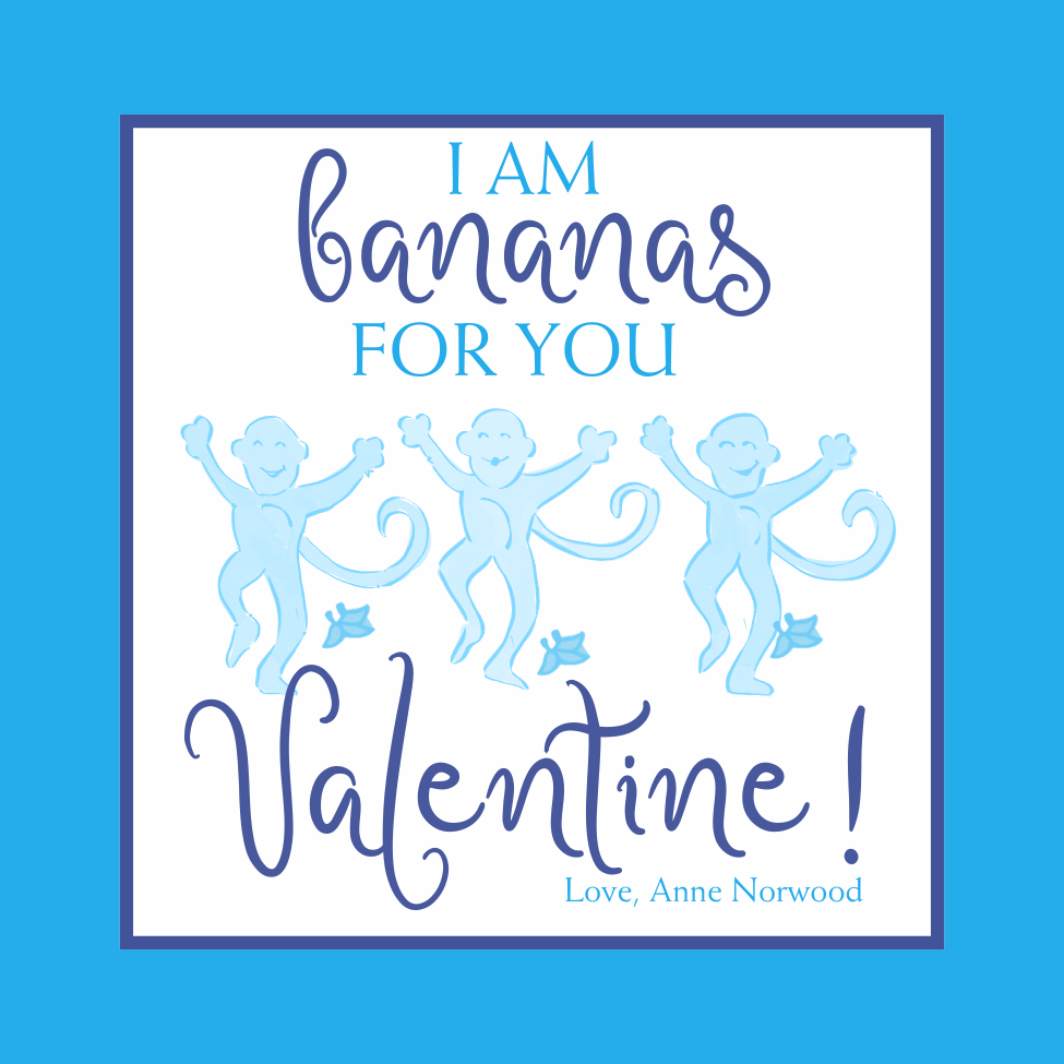 COLORFUL PREPPY MONKEY VALENTINE