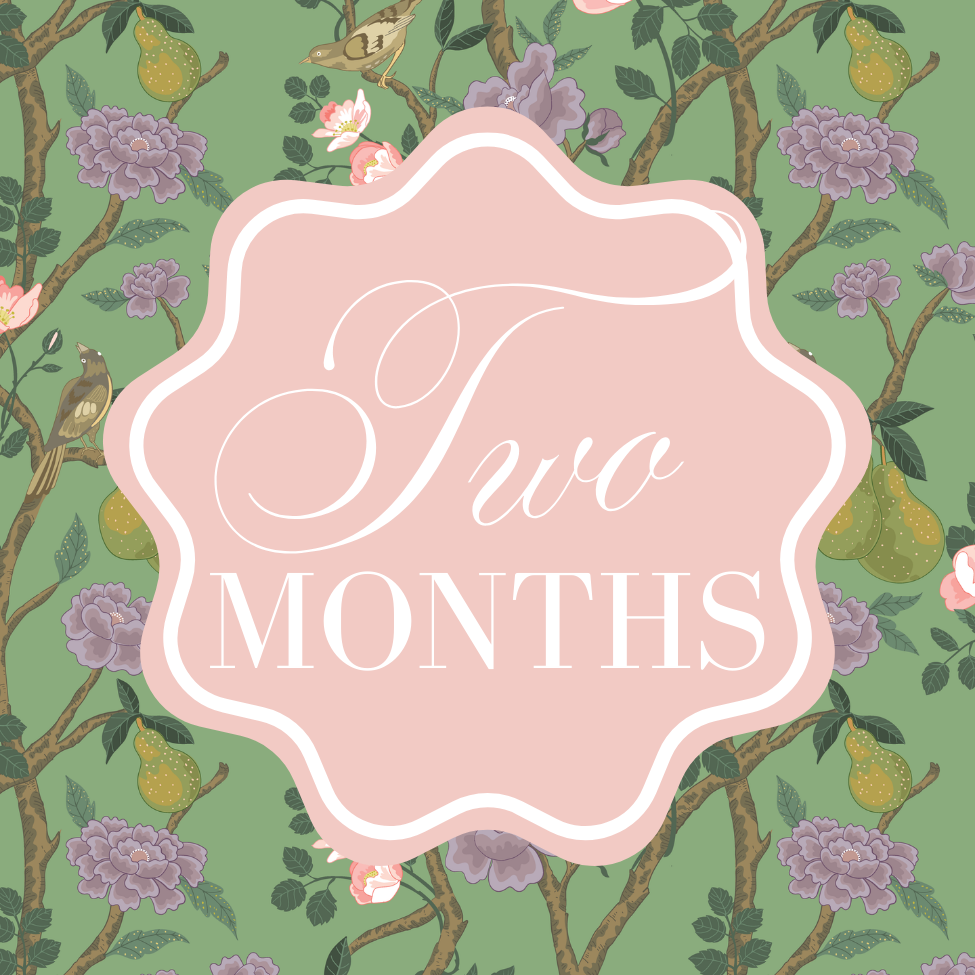 chinoiserie milestone cards