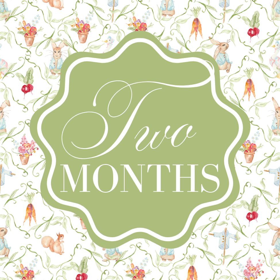 PETER RABBIT MILESTONE CARDS