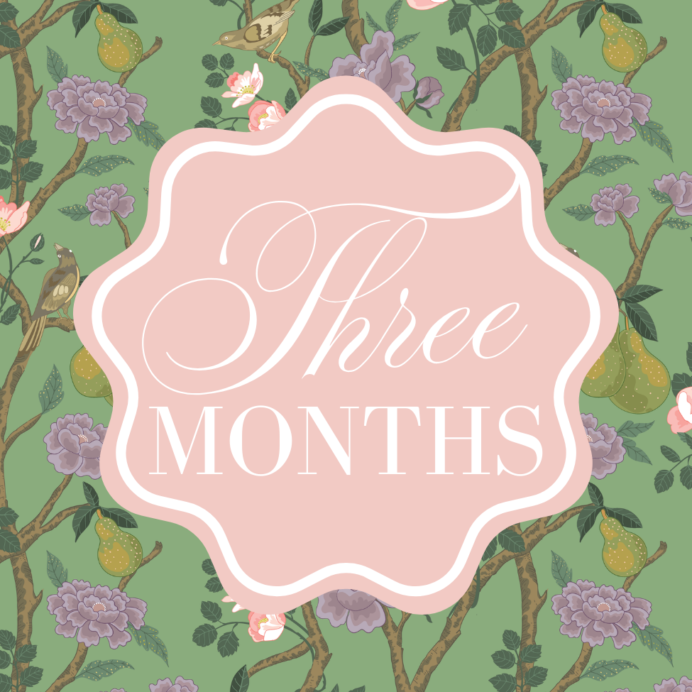 chinoiserie milestone cards