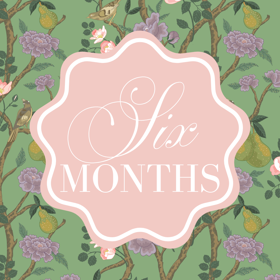 chinoiserie milestone cards