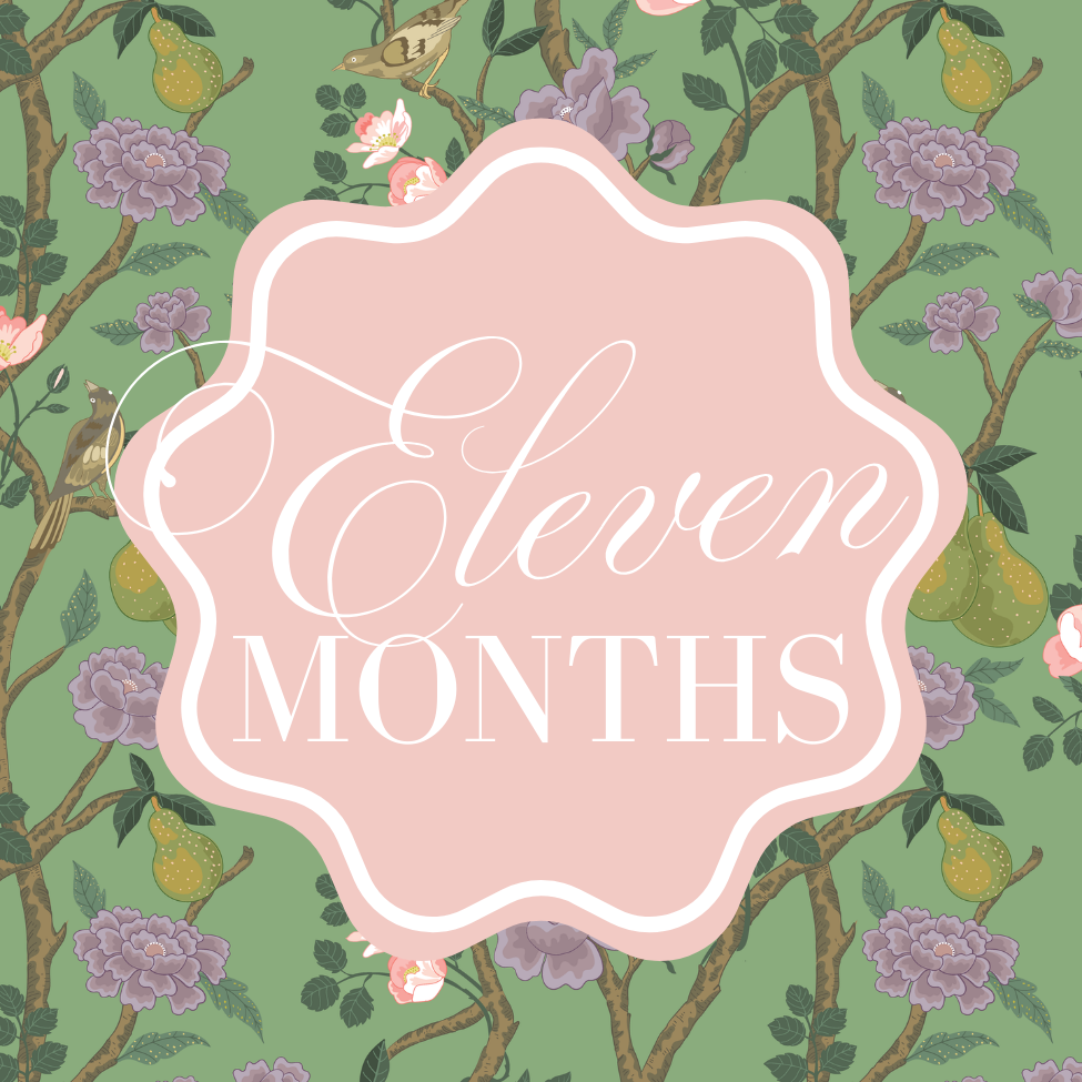 chinoiserie milestone cards