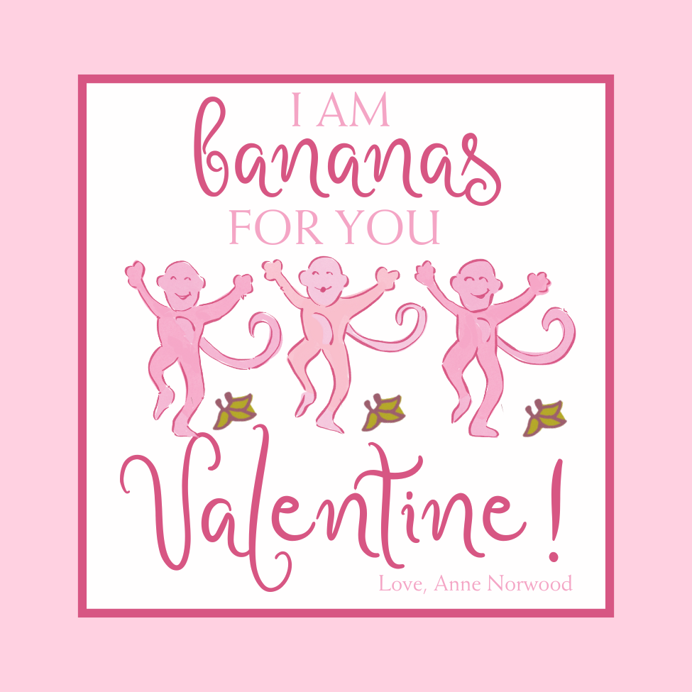 COLORFUL PREPPY MONKEY VALENTINE
