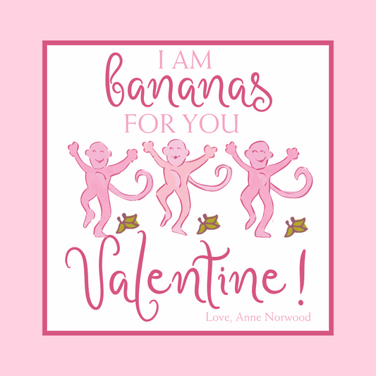 COLORFUL PREPPY MONKEY VALENTINE