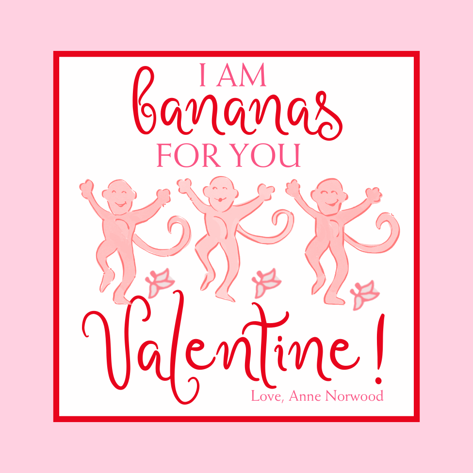 COLORFUL PREPPY MONKEY VALENTINE