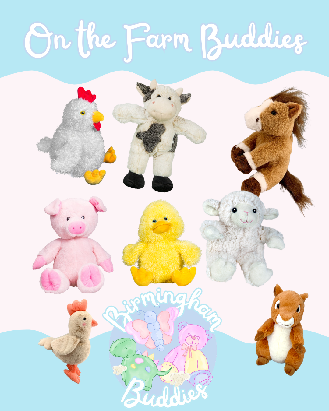 Birmingham Buddies packages