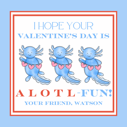 AXOLOTL-FUN!!