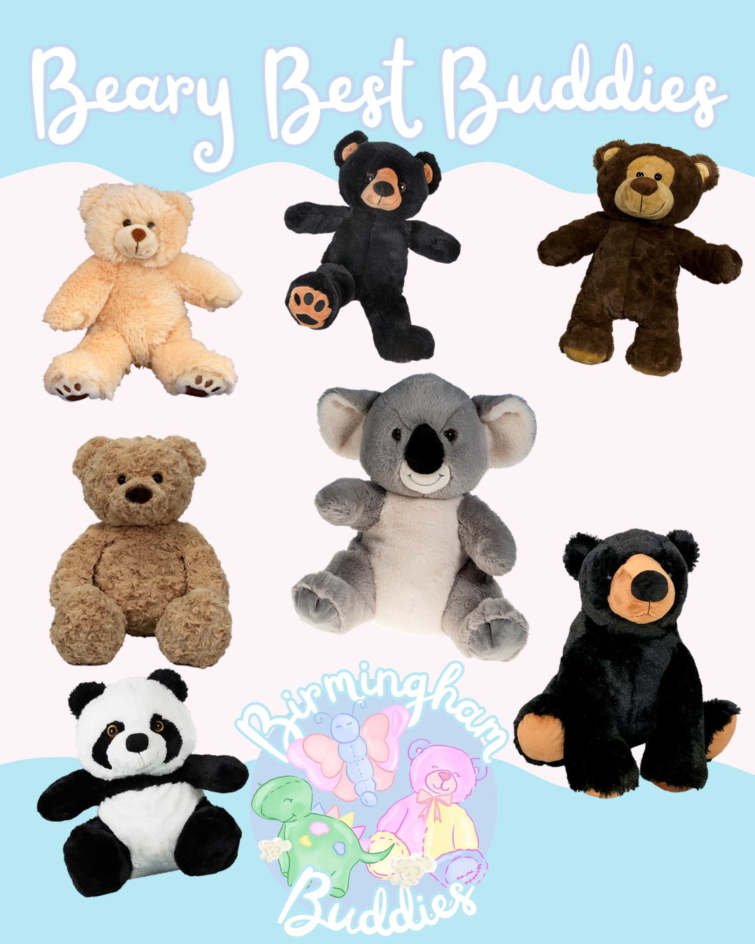 Birmingham Buddies packages