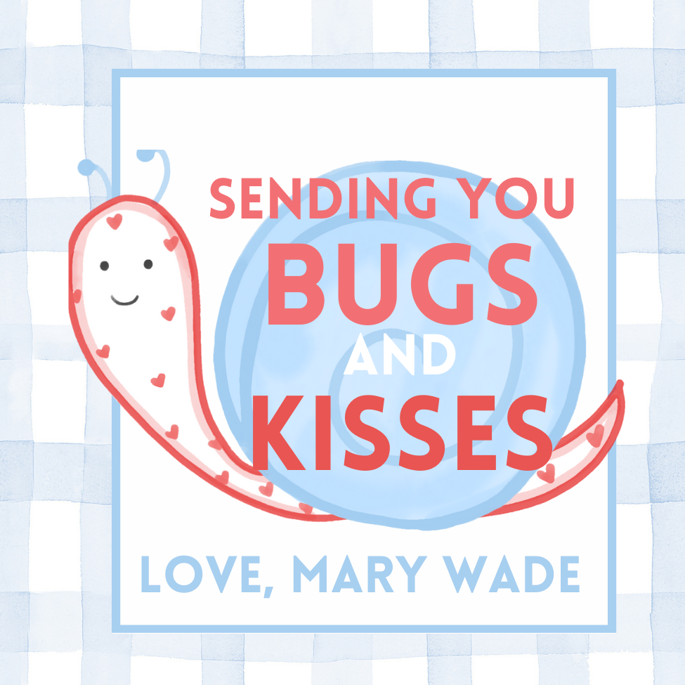 BUGS & KISSES VALENTINE