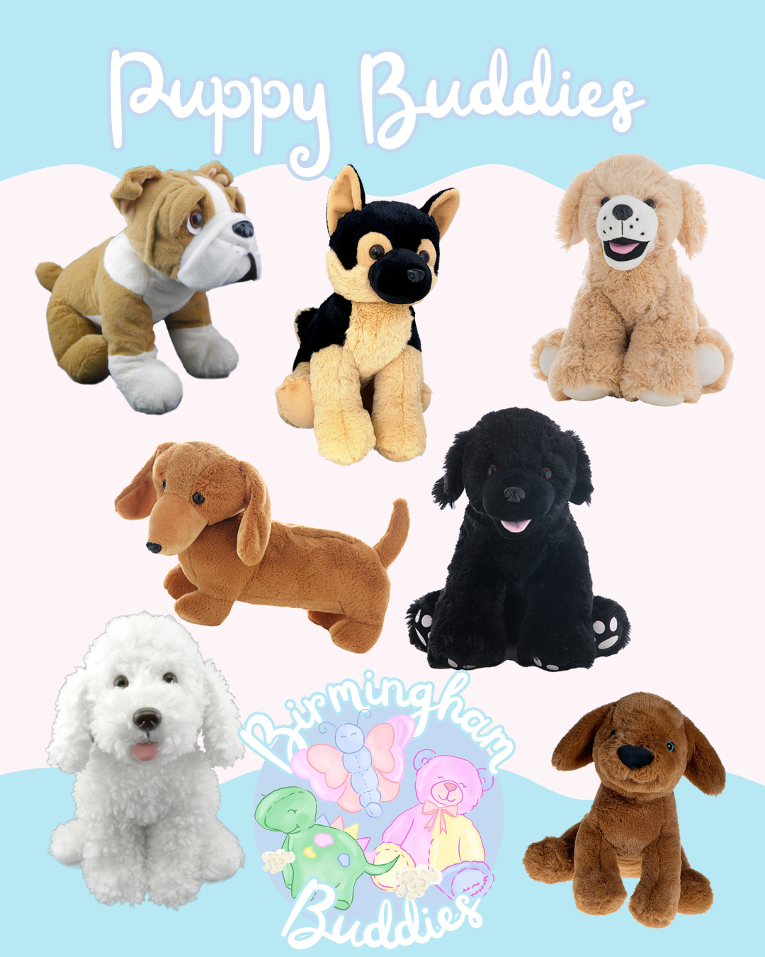 Birmingham Buddies packages