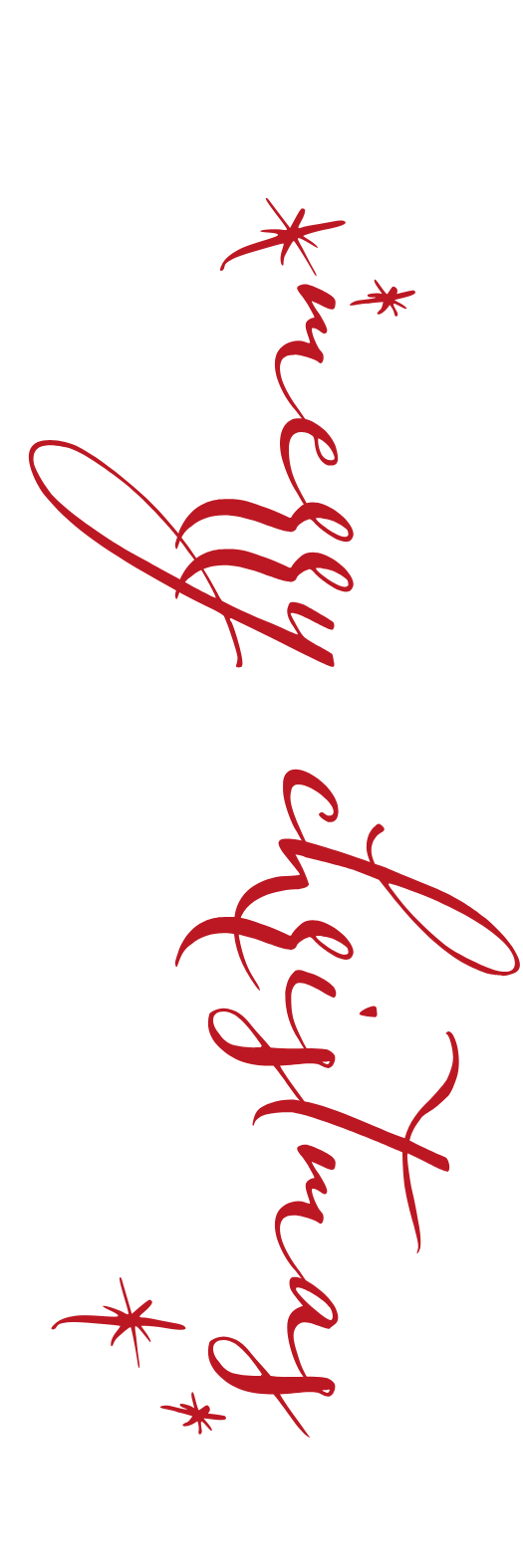 ANY COLOR SKINNY CHRISTMAS GIFT TAG