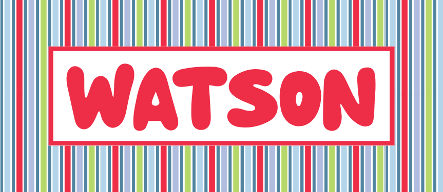 STRIPES RECTANGLE VINYL LABEL