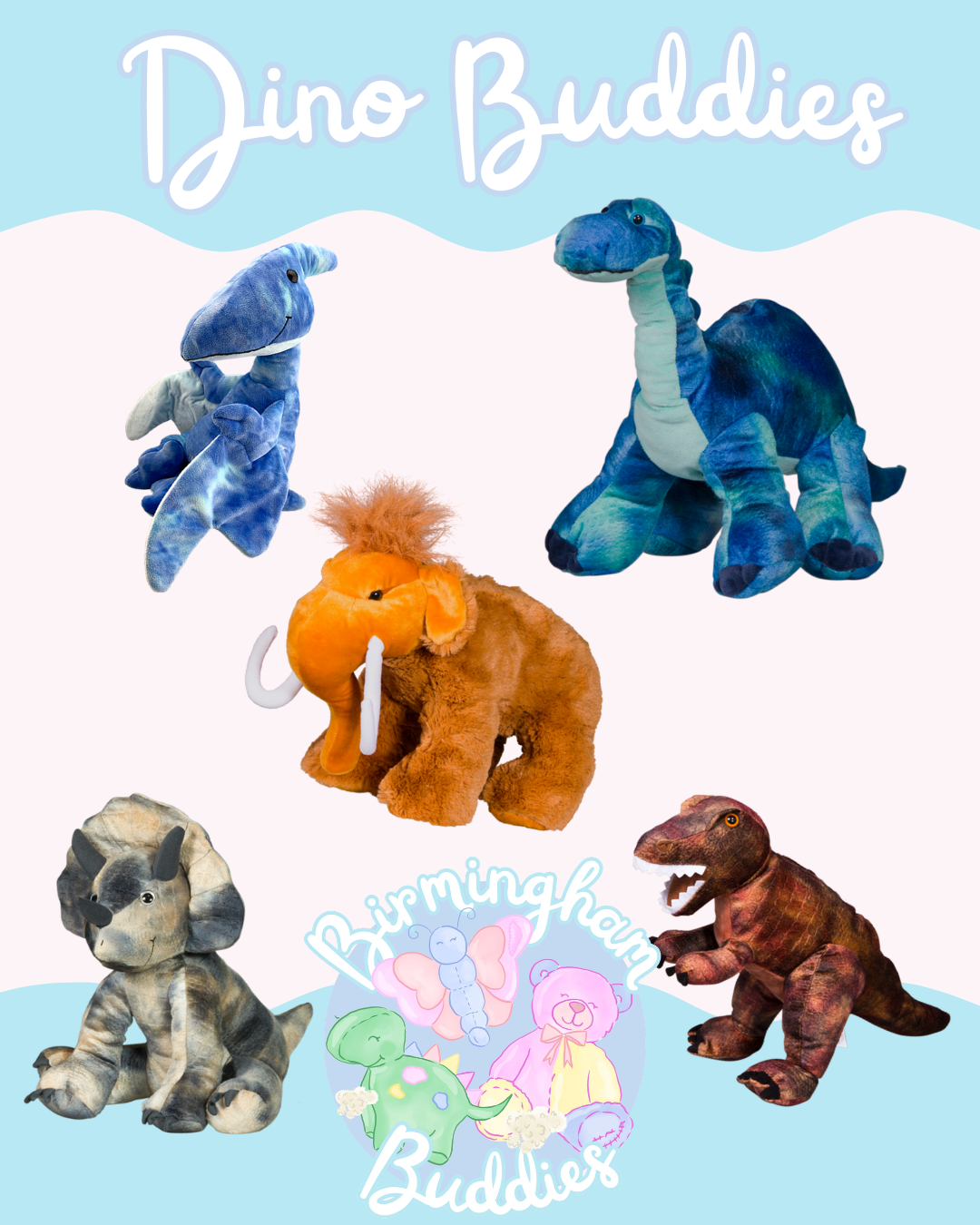 Birmingham Buddies packages