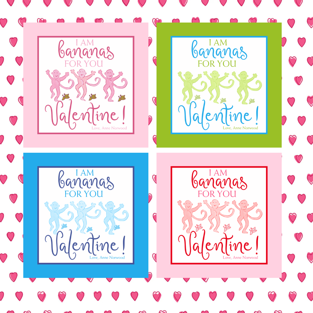 COLORFUL PREPPY MONKEY VALENTINE