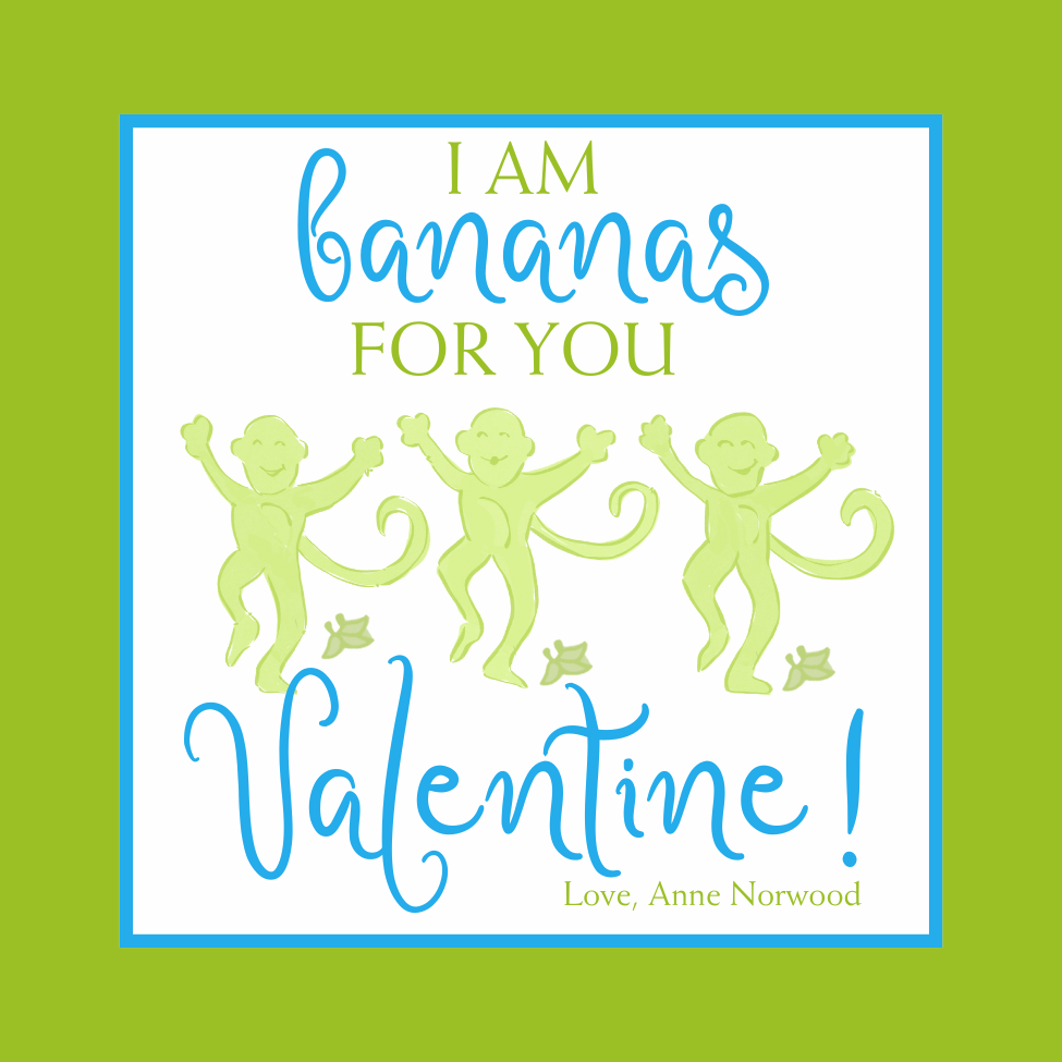 COLORFUL PREPPY MONKEY VALENTINE